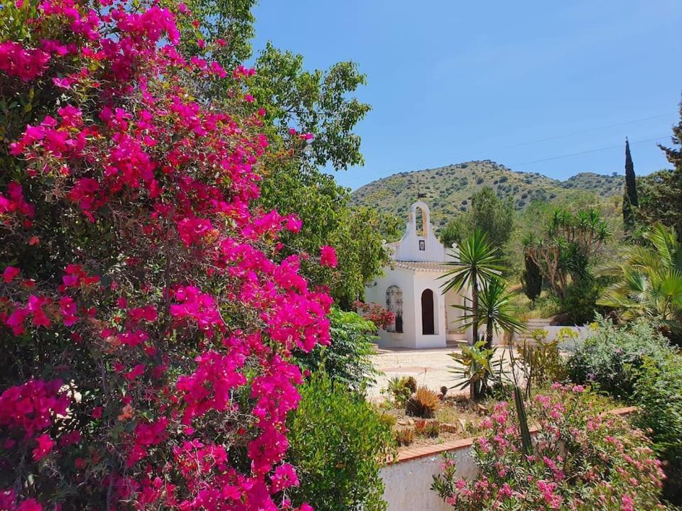 La Barranca De La Barca Bed & Breakfast Alora Exterior photo